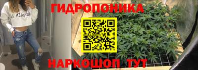 прущие крисы Дубна