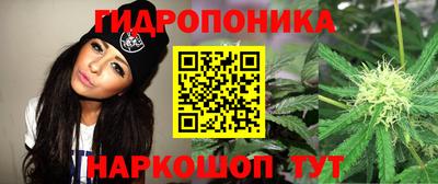 Альфа ПВП Донской