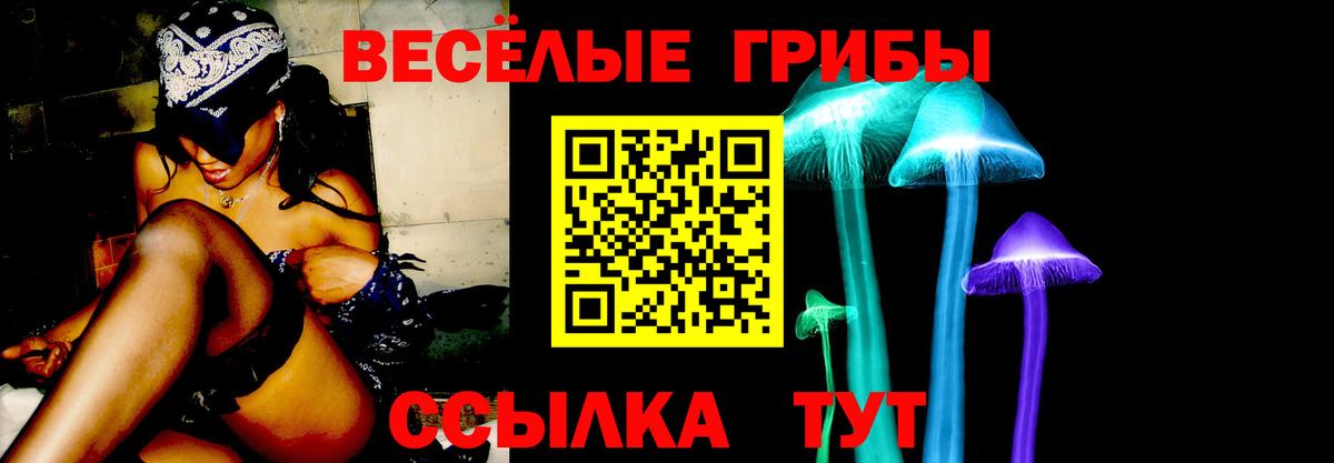 Псилоцибиновые грибы прущие грибы  Вход с VPN  Кубинка 